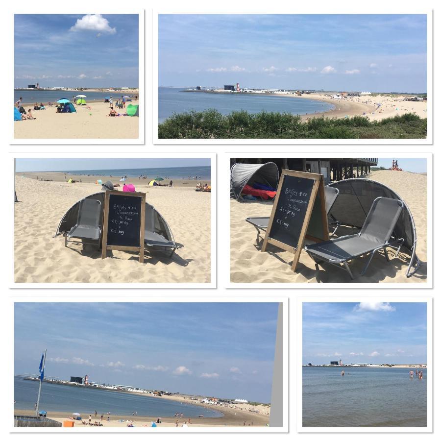 Apartmán La Casa Aan Zee Ellemeet Exteriér fotografie